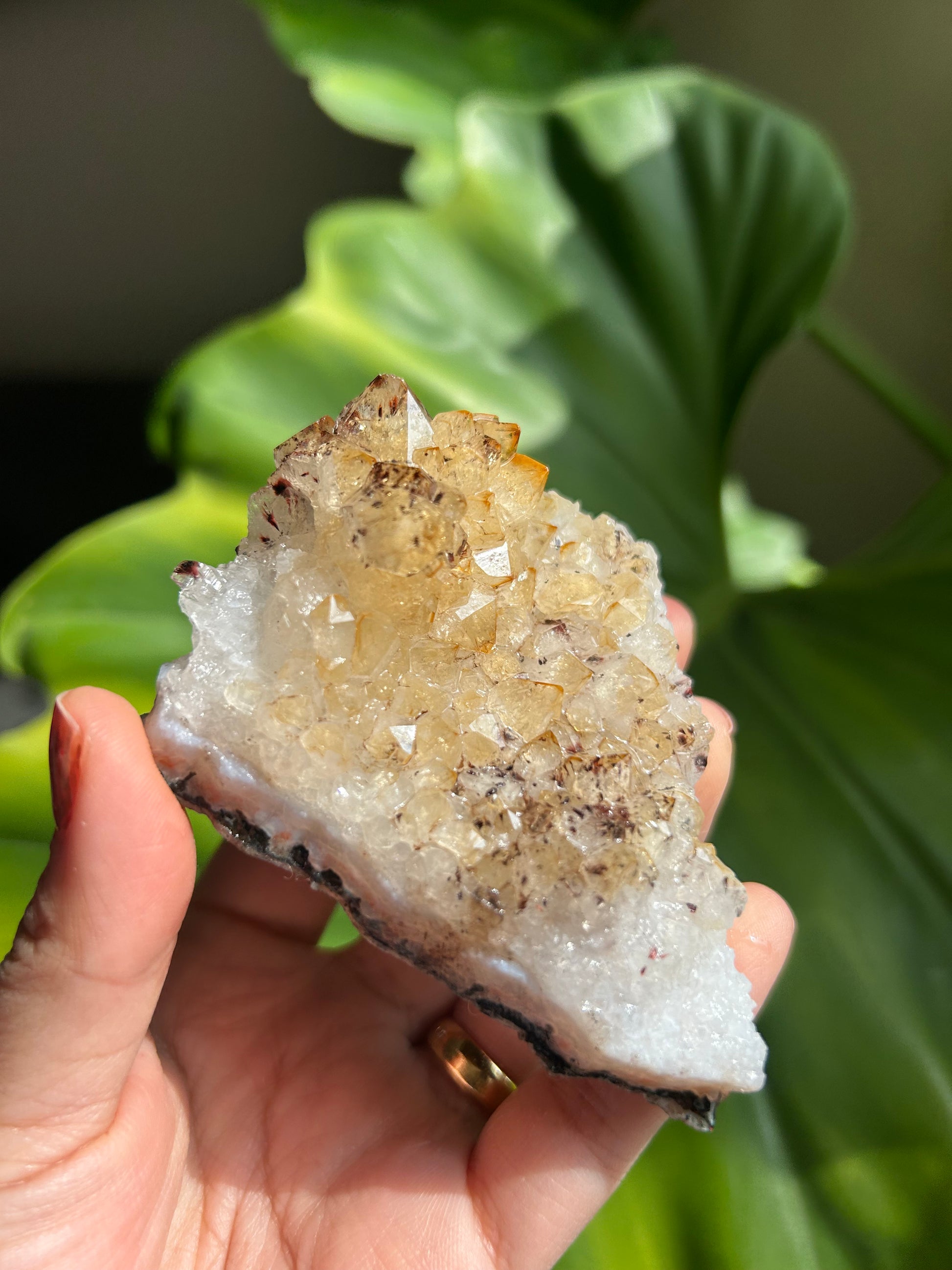 PIEDRA DRUSA CITRINO