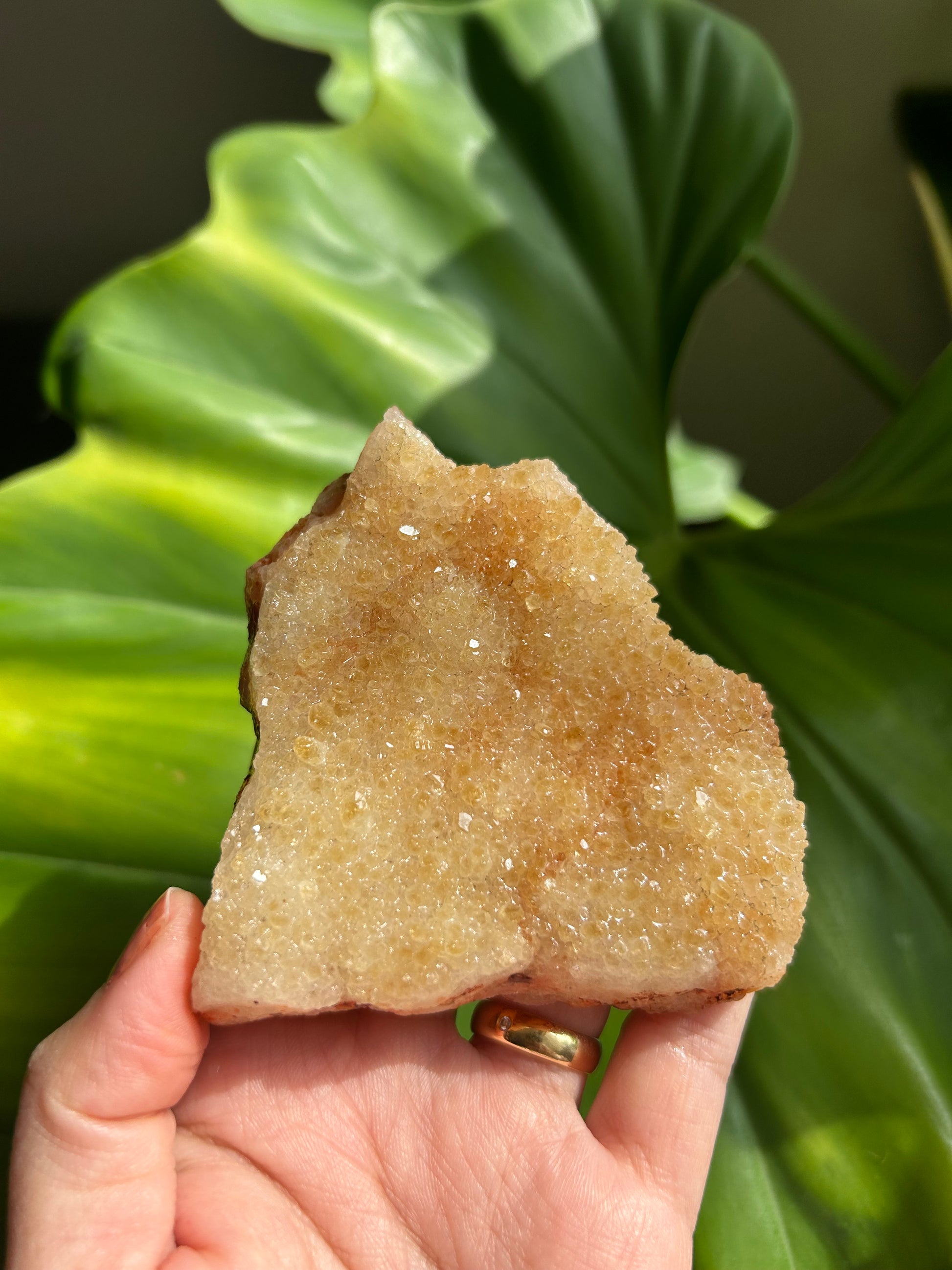 PIEDRA DRUSA CITRINO